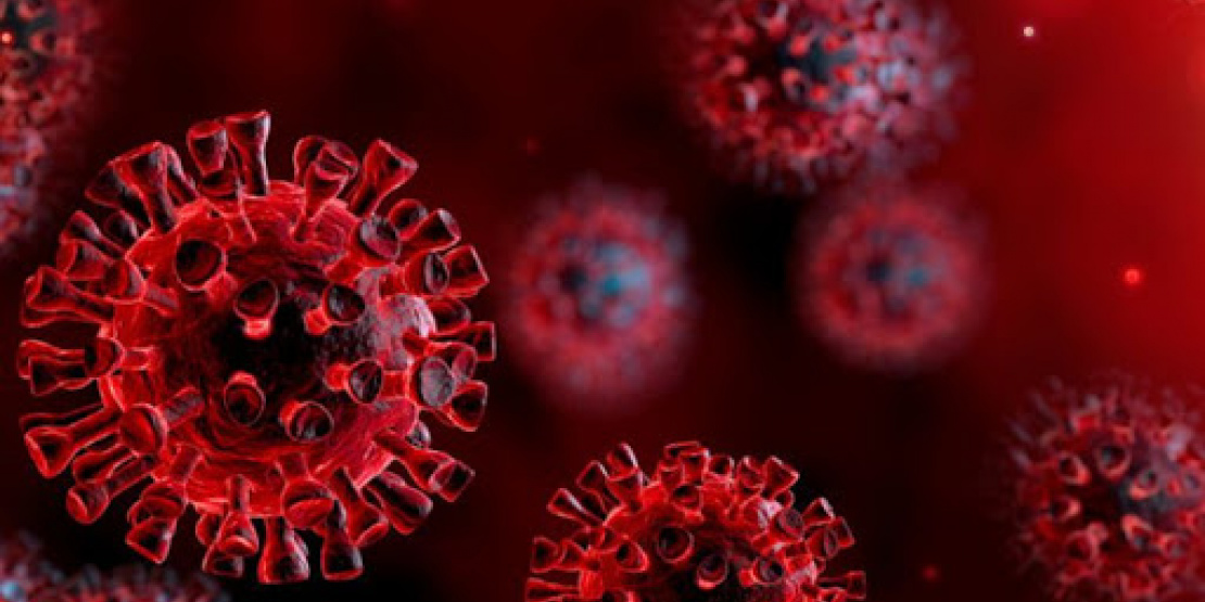Coronavirus Research