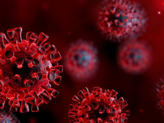Coronavirus Research