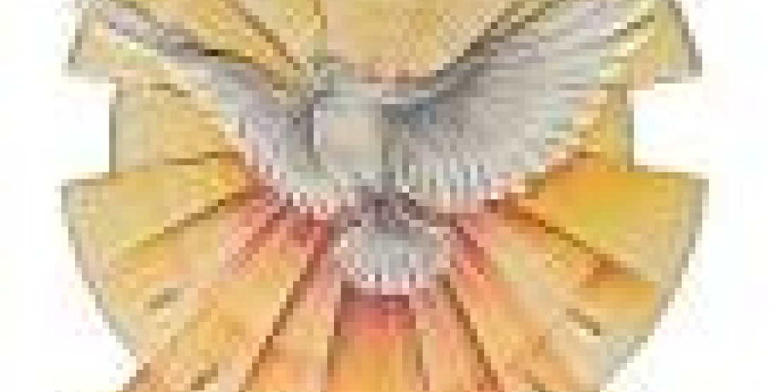 DS