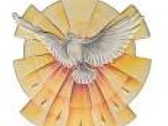 DS