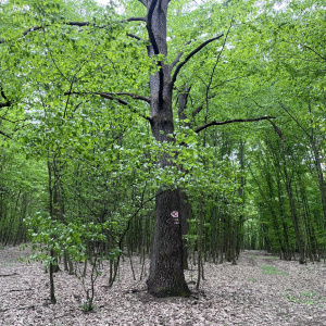 p 2023 3