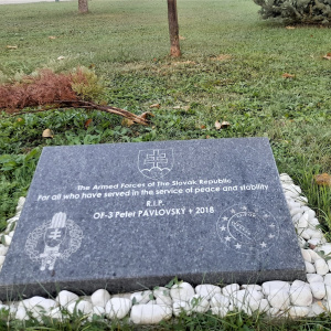 Višegrad10