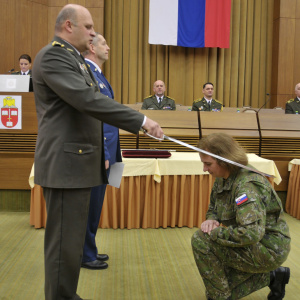 DKAVS_31_KZ pas