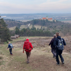 IMG-20250308-WA0019