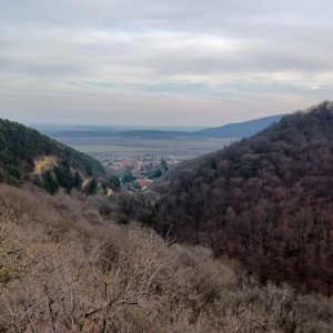 IMG-20250308-WA0046