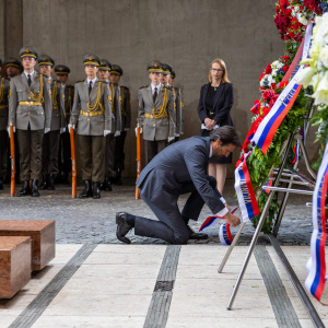 JNE_3731 2
