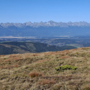 IMG-20250925-WA0003